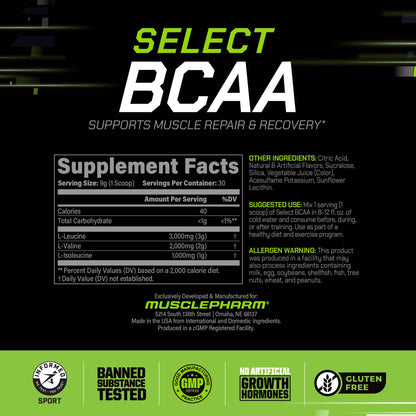 MusclePharm Essentials BCAA Powder, Pre & Post Workout Recovery Drink, Supports Muscle Recovery & Energy, Essential Amino Acids, 30 Serv, Fruit Punch