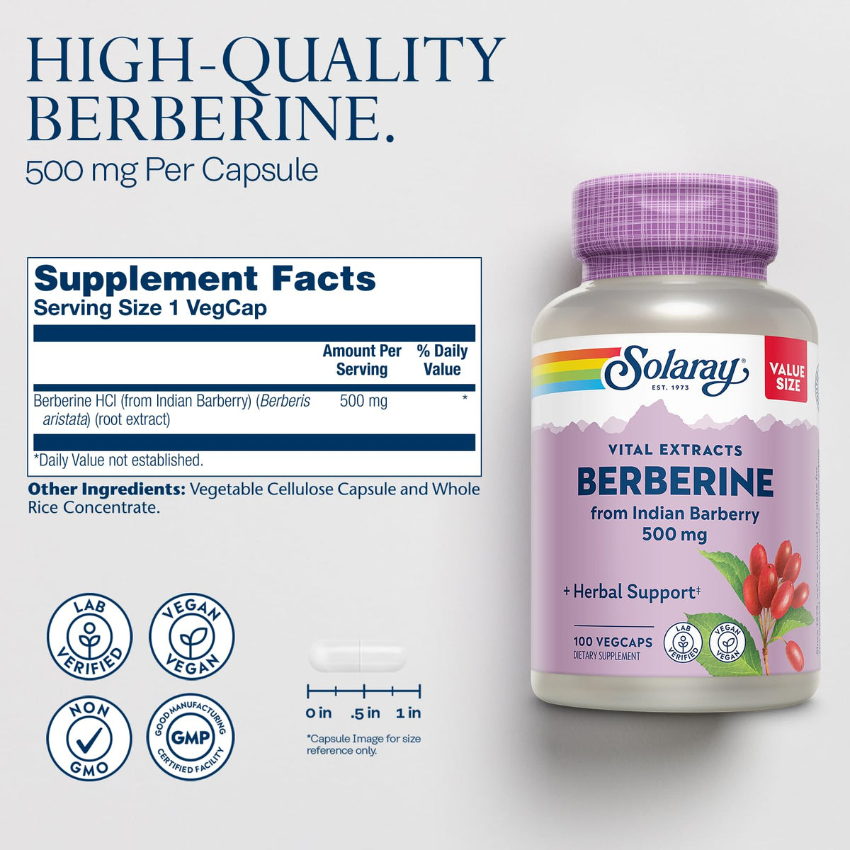 SOLARAY Berberine 500mg - Berberine Supplement for a Healthy, Active Lifestyle - with Berberine HCl from Indian Barberry - Vegan, Non-GMO, 60-Day Guarantee, Lab Verified - 100 Servings, 100 VegCaps