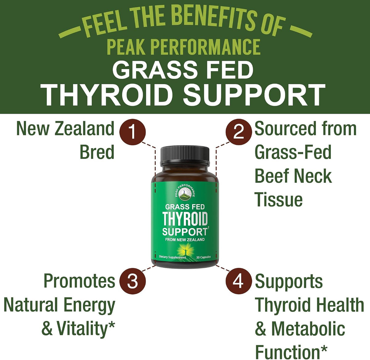 Raw Desiccated Thyroid Supplement. Grass Fed New Zealand Beef Neck & Thyroid Gland Capsules for Women and Men. Ancestral Living Ethically Sourced Bovine Supplements for Energy and Metabolism Support