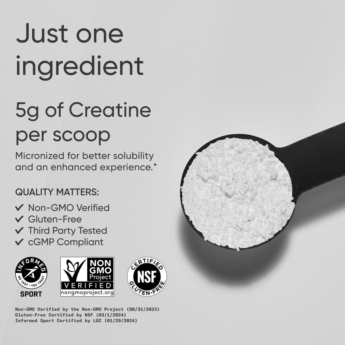 Sports Research Creatine Monohydrate - Gain Lean Muscle, Improve Performance and Strength and Support Workout Recovery* - 5 g Micronized Creatine - 17.64 oz