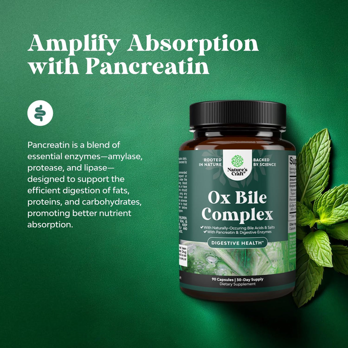 Digestive Enzymes with Ox Bile - Ox Bile Supplements for No Gallbladder with Trypsin, Papain & Bromelain Enzyme for Pancrease Cleanse & Detox - Pancreatin Digestion Enzymes for Women & Men - 90 Ct