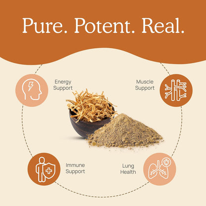 Real Mushrooms Lions Mane (120ct) and Cordyceps (120ct) Capsules Bundle - Mushroom Supplement for Cognition, Energy and Endurance