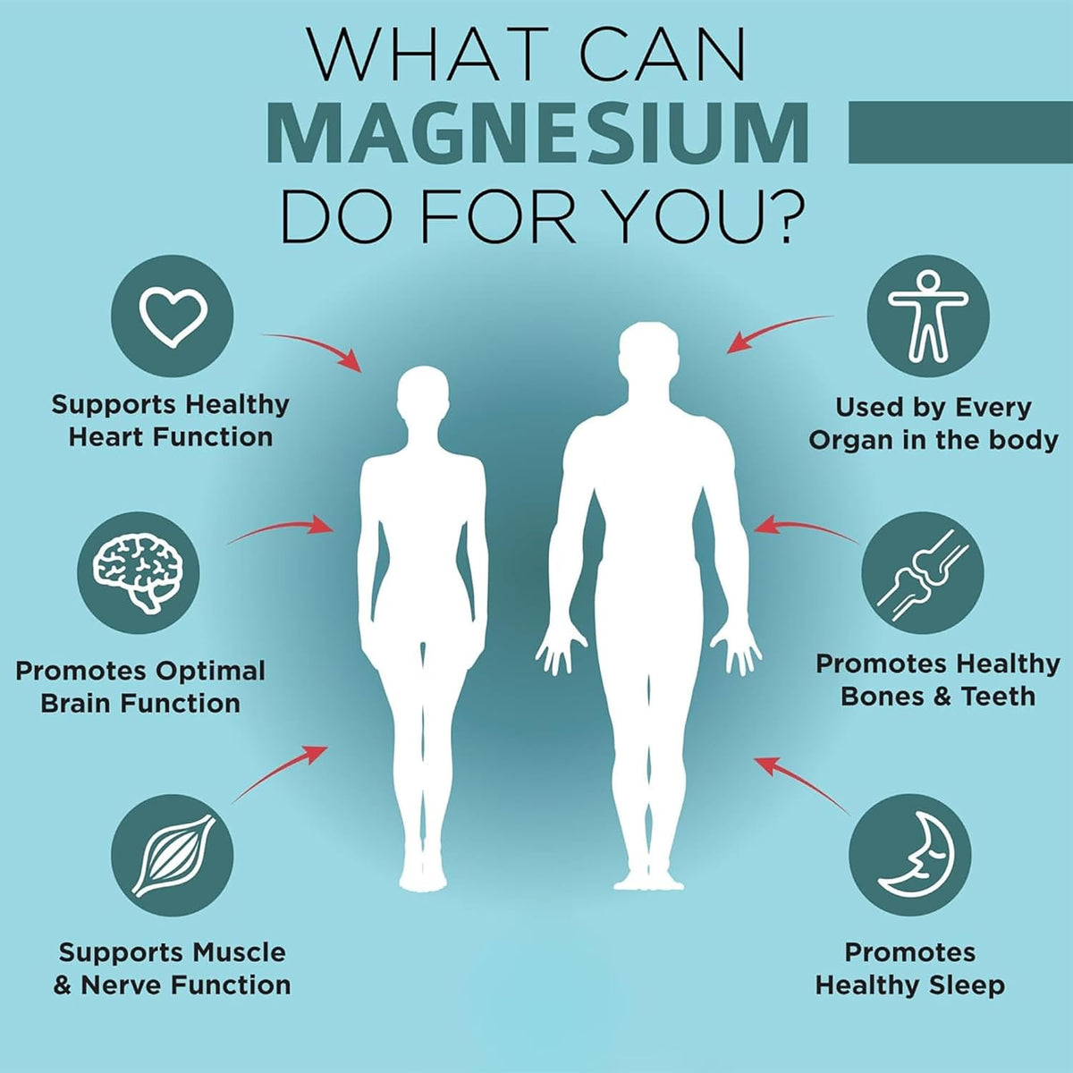 OmniBiotics Magnesium Glycinate Supplement – with 100% Pure Albion TRAACS Bisglycinate Chelate for Sleep, Muscle, Nerve & Heart Health – 120 Vegan Capsules (Pack of 2)